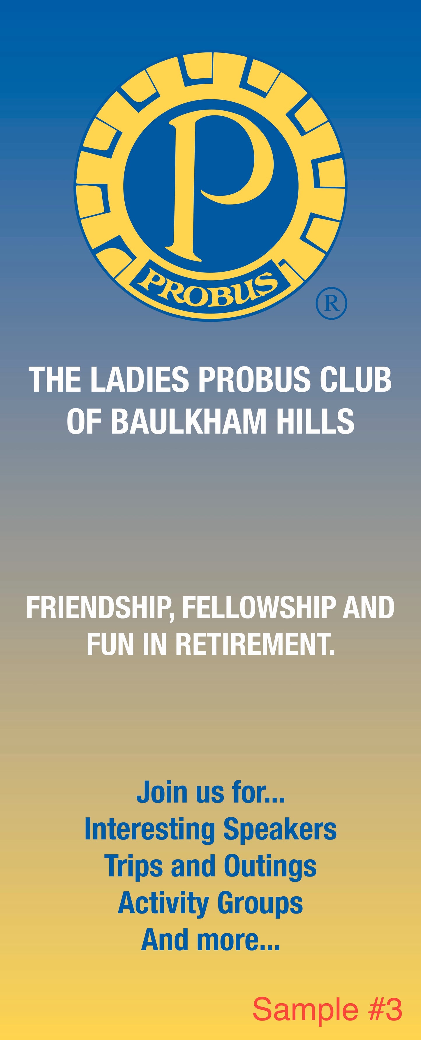 Probus Standard Pull Up Banner