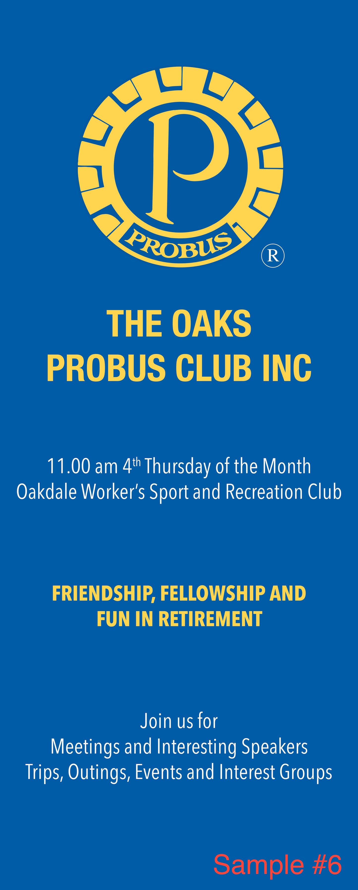 Probus Small Pull Up Banner